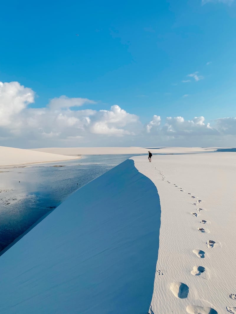 Temporal Trekking
